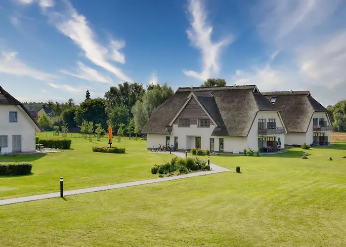 Eiderente 29 Im Wreecher Idyll Rügen By Ruyastay * Putbus